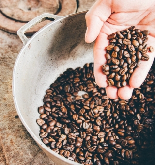 Acidity trong cà phê hình thành và phát triển như thế nào?